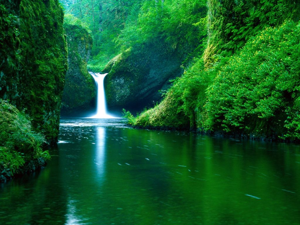 Green Forest Waterfall Desktop Background Computer Background Images