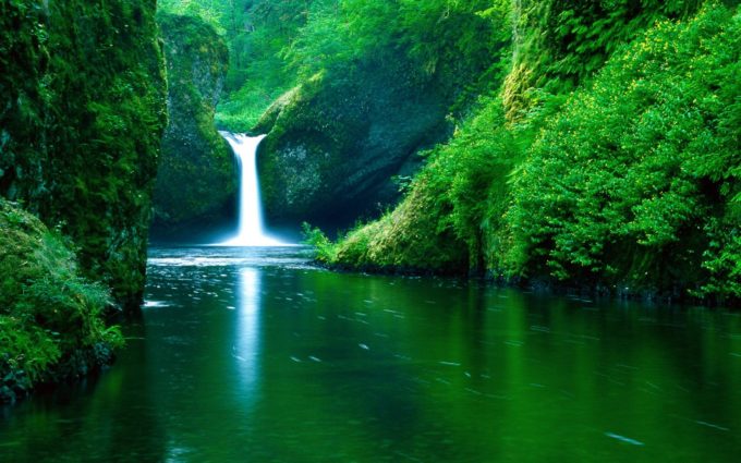 Green Forest Waterfall Desktop Background