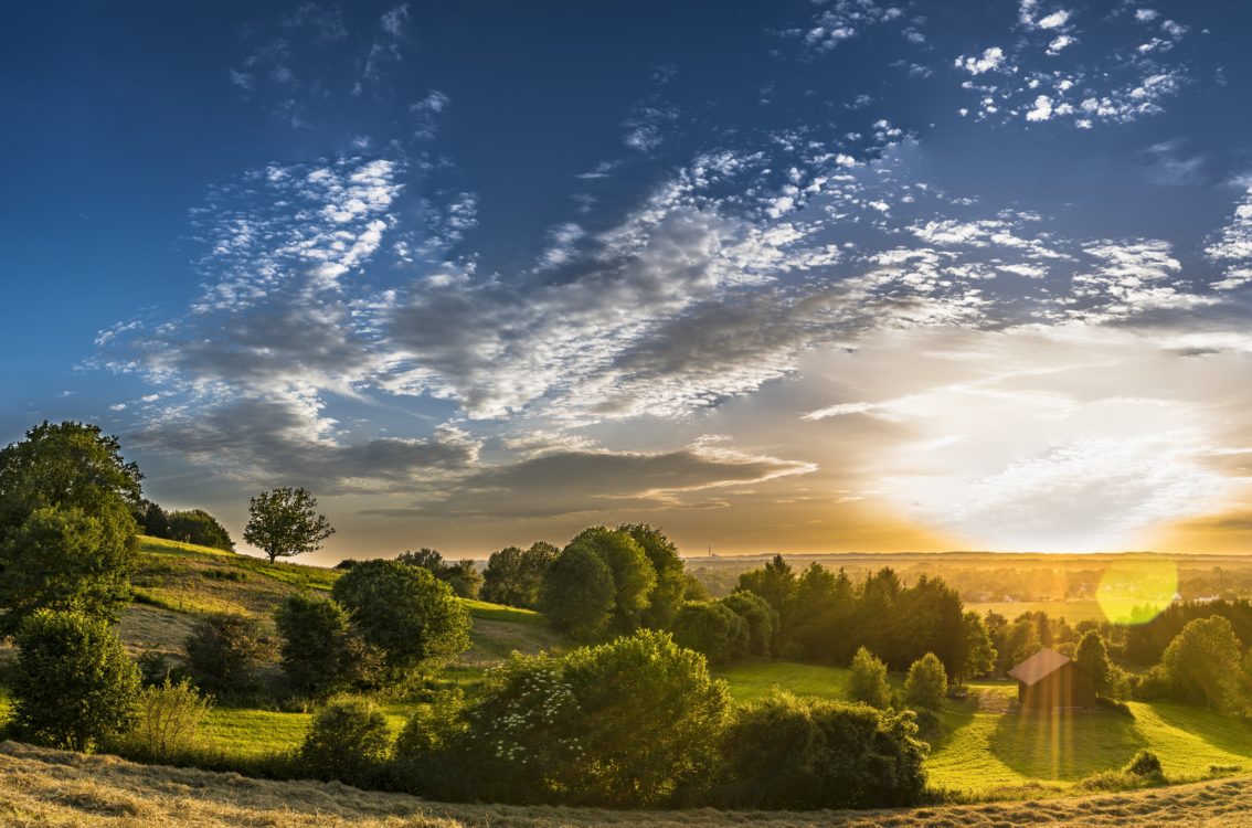 Rural Landscape Agriculture Meadow Panorama - Computer Background Images