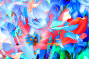 Rendering Flowers Art Lines Bright Desktop Wallpapers