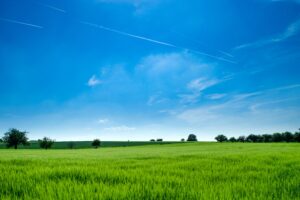 Panoramic Photography of Green Field Background Wallpaper