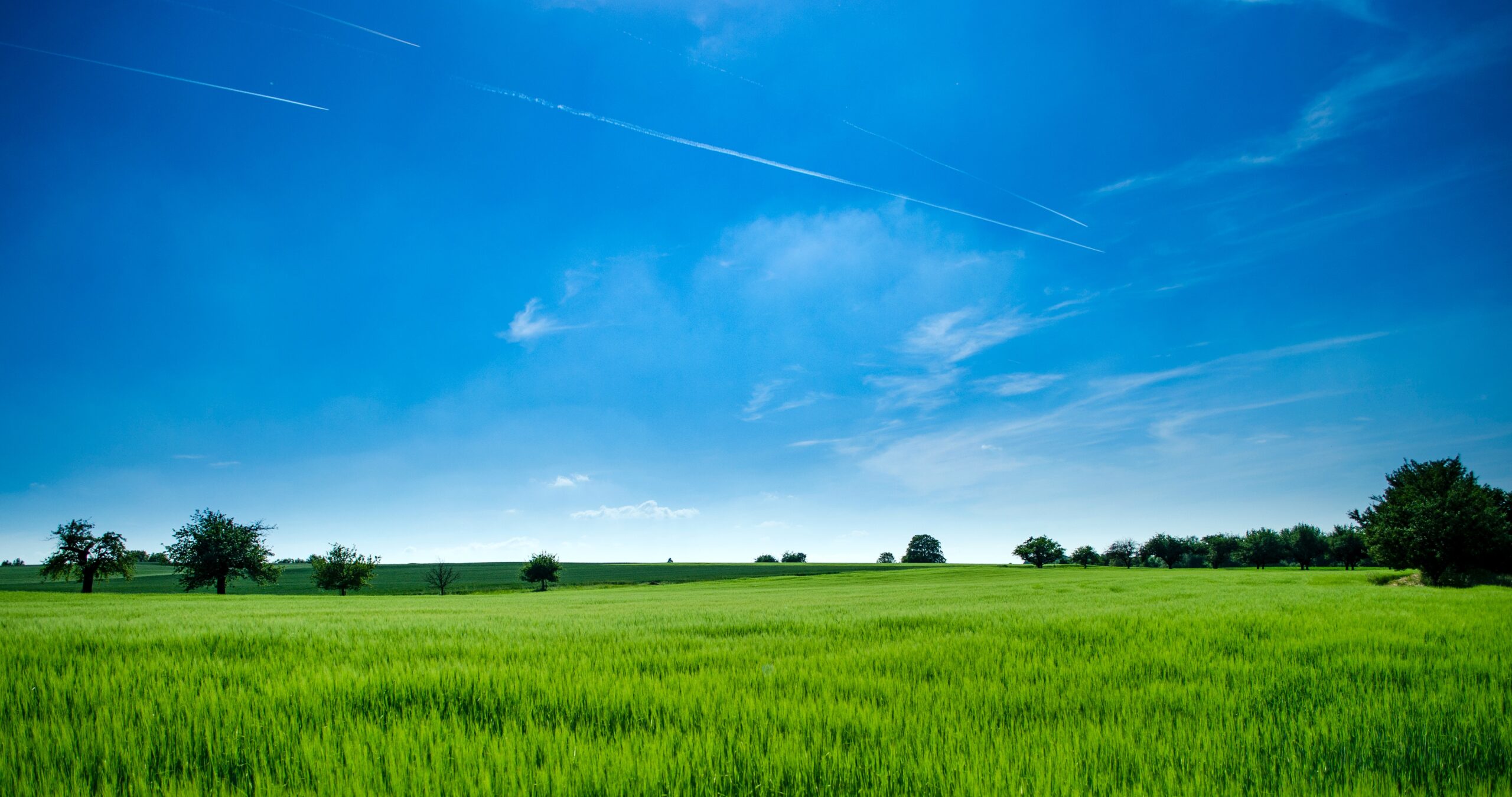 Panoramic Photography of Green Field Background Wallpaper - Computer ...