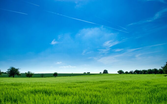 Panoramic Photography of Green Field Background Wallpaper