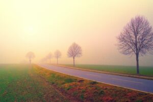 Road in the Middle of Foggy Field Background Wallpaper