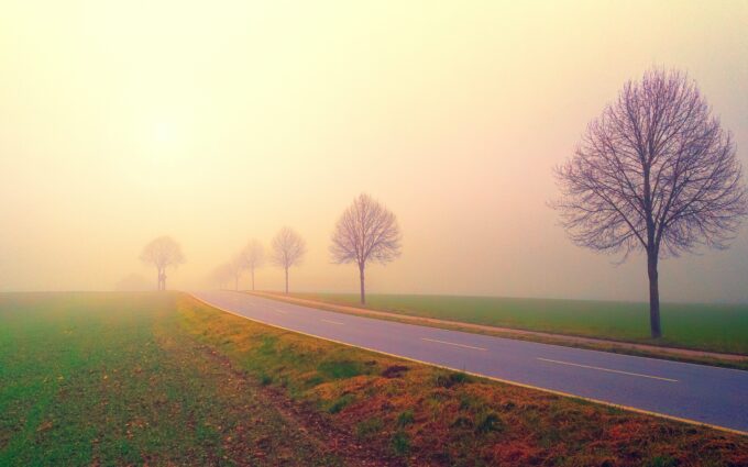 Road in the Middle of Foggy Field Background Wallpaper