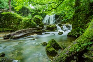 Waterfalls in Forest Background Wallpaper