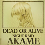 Akame ga Kill! 112 Desktop Background Wallpapers