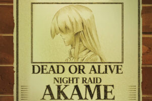 Akame ga Kill! 111 Desktop Background Wallpapers