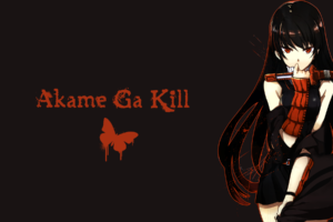 Akame ga Kill! 139 Desktop Background Wallpapers