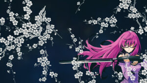 Akame ga Kill! 25 Desktop Background Wallpapers
