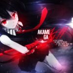 Akame ga Kill! 41 Desktop Background Wallpapers
