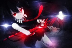 Akame ga Kill! 39 Desktop Background Wallpapers