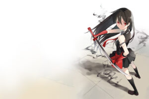 Akame ga Kill! 54 Desktop Background Wallpapers