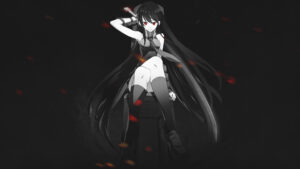 Akame ga Kill! 57 Desktop Background Wallpapers