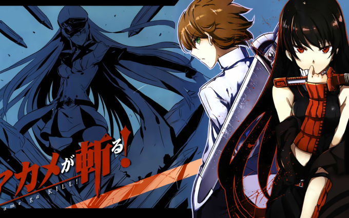 Akame ga Kill! 8 Desktop Background Wallpapers