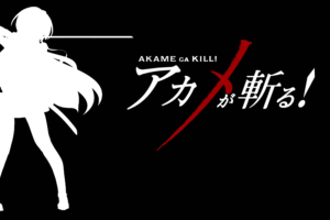 Akame ga Kill! 84 Desktop Background Wallpapers