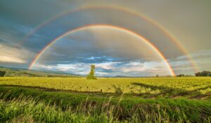 Crop Field Under Rainbow And Cloudy Skies At Dayime Desktop Wallpapers