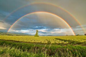 Crop Field Under Rainbow And Cloudy Skies At Dayime Desktop Wallpapers