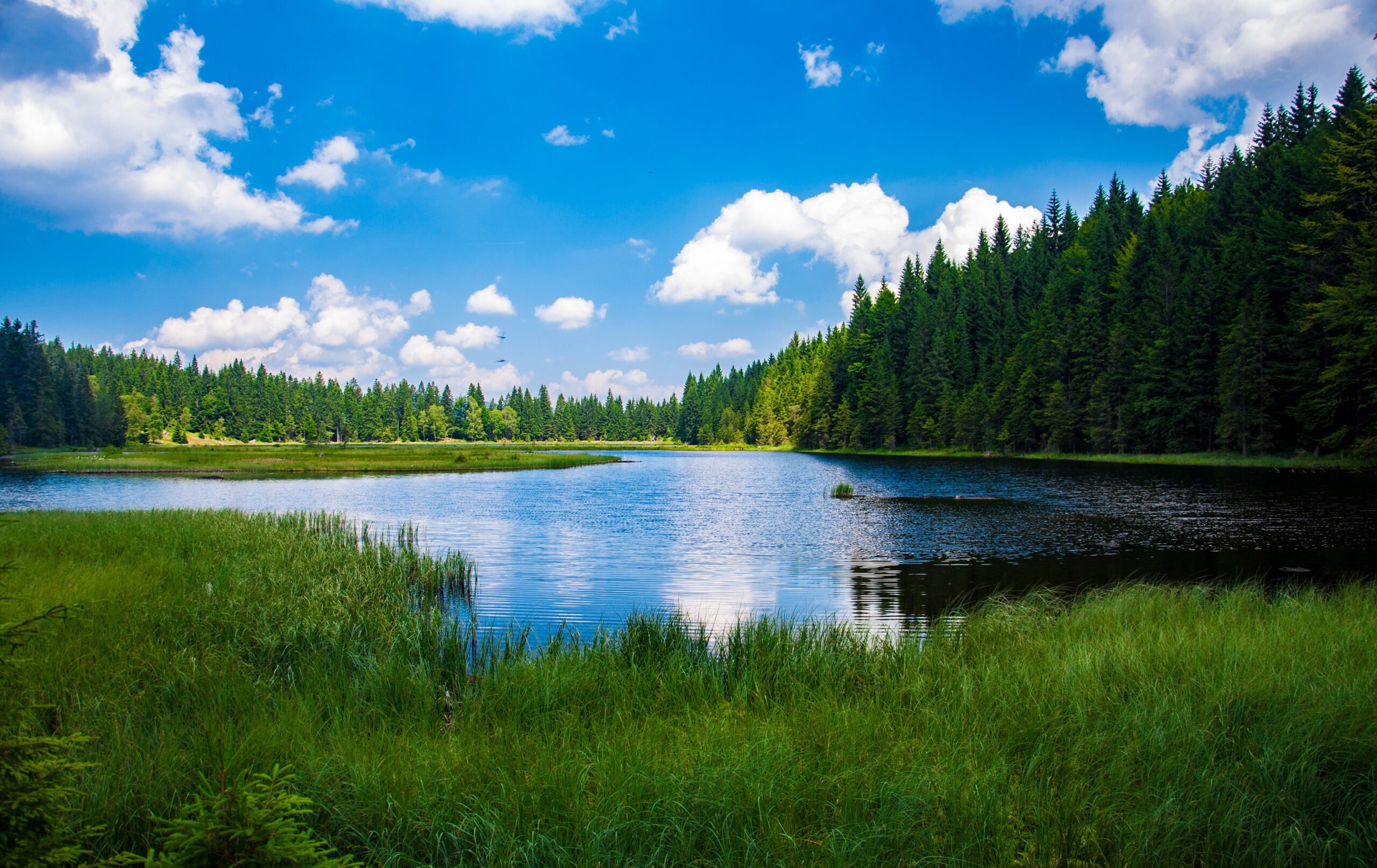 Scenic View of Lake in Forest Desktop Wallpapers - Computer Background